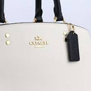 Coach Lillie Color Block  Leather Carryall