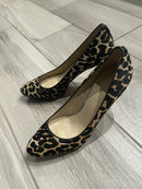 Coach Giovanna Leopard Print Leather Haircallf Pumps