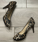 Coach Giovanna Leopard Print Leather Haircallf Pumps